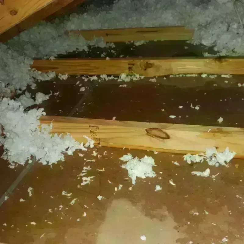 Attic Water Damage in Westfield, IN