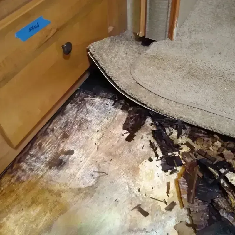 Best Wood Floor Water Damage Service in Westfield, IN